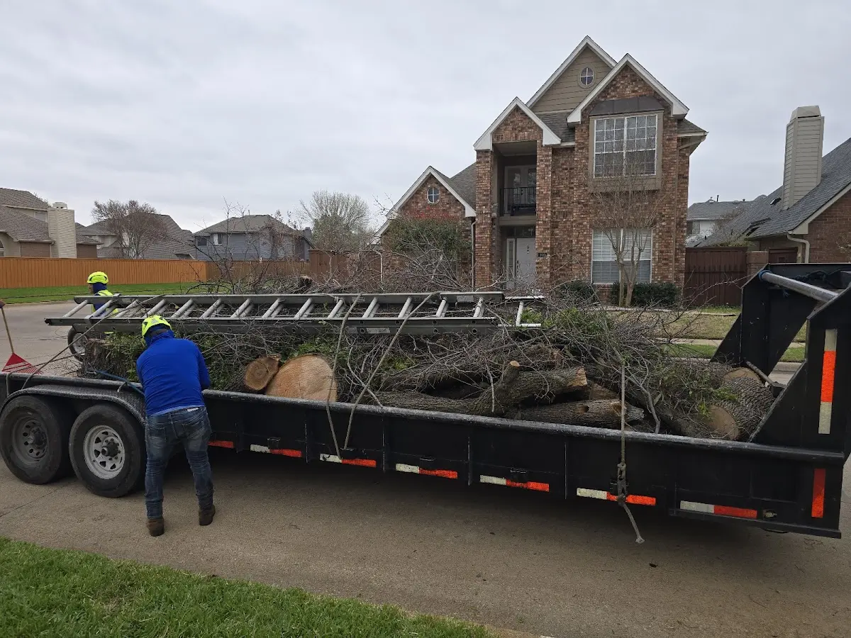 Expert Tree Pest Control with proper safety equipment in Taos
